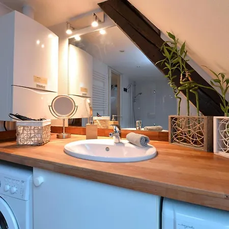 Apartamento L'elégant De La Petite Venise Colmar