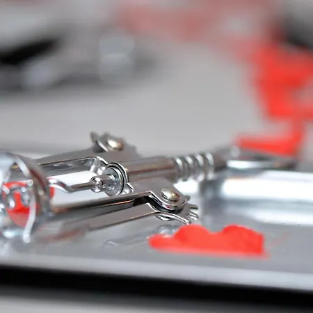 L'elégant De La Petite Venise * Colmar