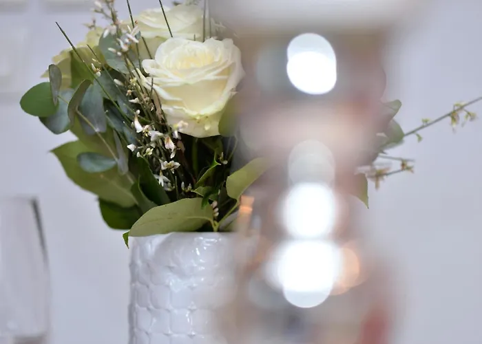 L'elegant De La Petite Venise Apartamento