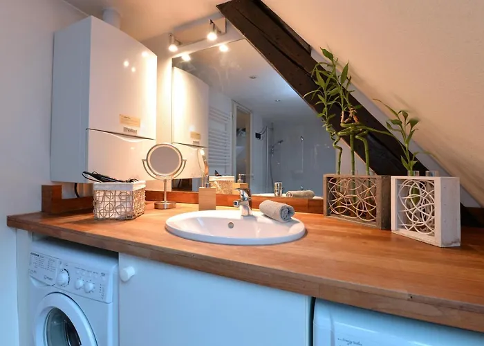 Apartamento L'elegant De La Petite Venise Colmar