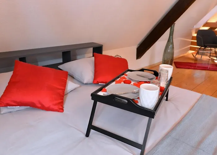 L'elegant De La Petite Venise * Colmar