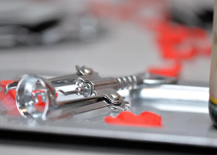 L'elegant De La Petite Venise * Colmar