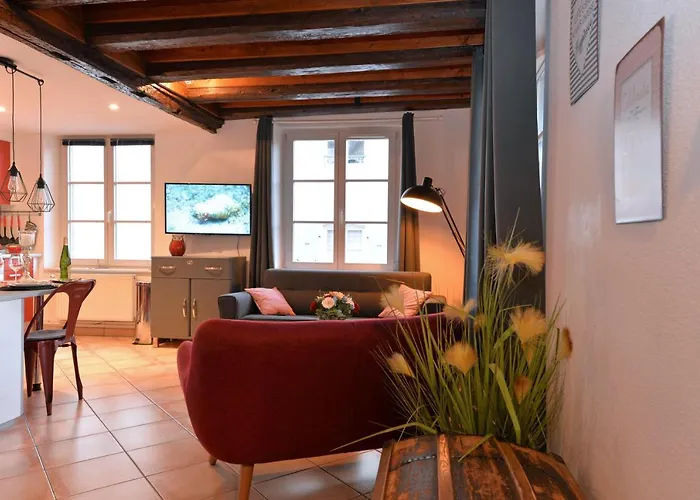 L'elegant De La Petite Venise * Colmar