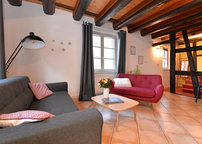 L'elegant De La Petite Venise Colmar