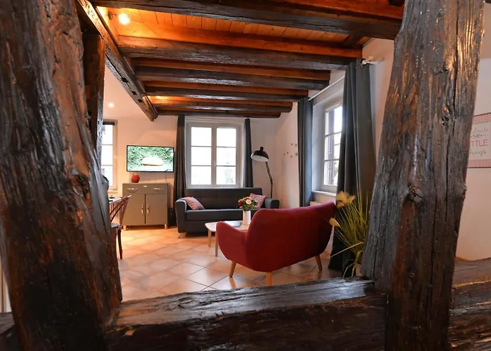 L'elegant De La Petite Venise Colmar