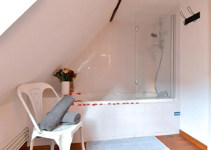 L'elegant De La Petite Venise Apartamento
