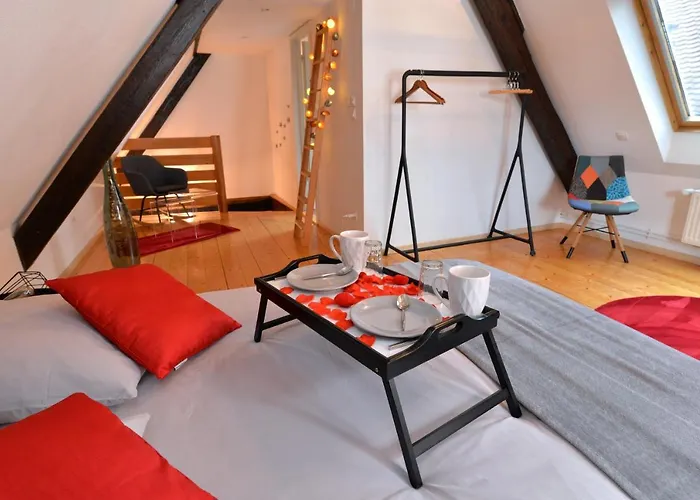 L'elegant De La Petite Venise * Colmar